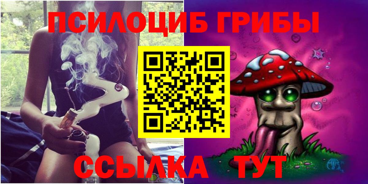 Галлюциногенные грибы Psilocybine cubensis Якутск
